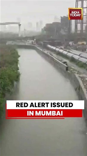 Mumbai Continues As Usual Despite IMD Red Alert For Extremely Heavy Rainfall #mumbai #weather