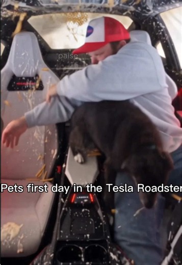 Dog’s First Ride in Tesla Roadster: Hilarious Passenger Seat Moment