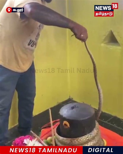 Snake | சிவலிங்கத்தின் மீது இருந்த பாம்பை பாதுகாப்பாக மீட்ட பாம்புபிடி வீரர் | N18S