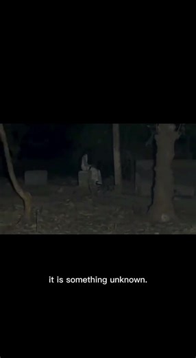 *Terrifying Jungle Creature, Haunted Basement & Unknown Crying Entity Caught on Camera 😱