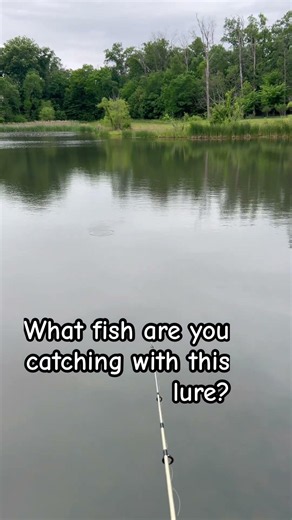 Comment 👉 #fishing #roostertail #spinner #shorts #popular #viral #youtube #fyp #fishing-spinners