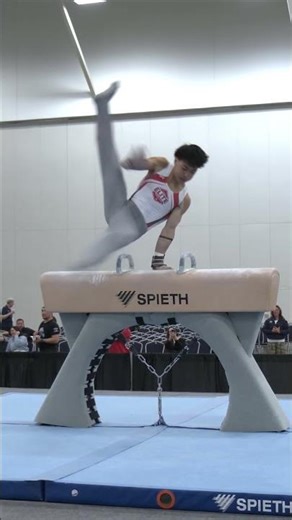 Jason Hao Super Slow Motion Pommel Horse 2026 Elite Team Cup #shorts 5