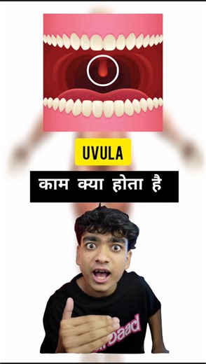 Uvula Explained | What Does the Uvula Do in Our Body?#facts #shorts