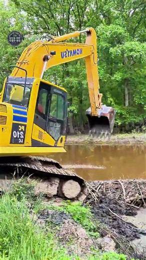 Clearing a Beaver Dam with an Excavator #worker #process #heavyequipment #excavator #construction