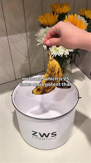 How Composting Can Reduce Your Carbon Footprint