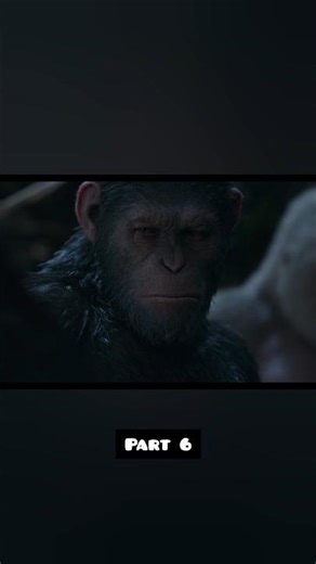 Chimpanzee Intelligence 😲 | Smart Monkey Moments 🐒🔥 | Nature ka Genius!