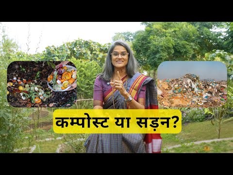 Composting और Rotting में क्या फर्क है? सरल भाषा में समझिए