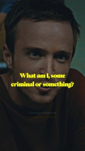 What am I, some criminal or something? 😂😂😂 | Jesse Pinkman X Jake X Mrs. Pinkman | Breaking Bad