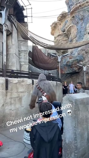 Funny Moments at Disneyland for Family Fun