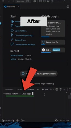 Clean VSCode Terminal (Bash)
