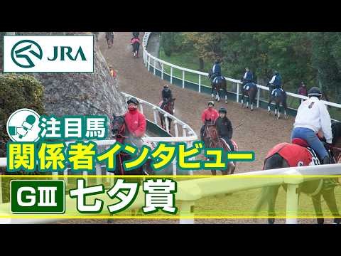 【注目馬 関係者インタビュー】2026年 七夕賞｜JRA公式