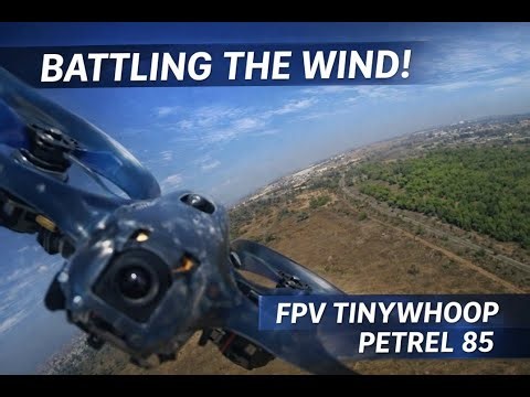 Battling the Wind | FPV TinyWhoop Petrel 85 in Strong Winter Gusts