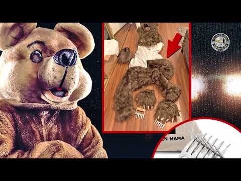 Operation Bear Claw: Bear Suit Insurance Fraud Ends in California Sentences