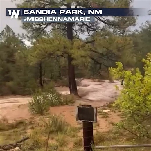 NEW MEXICO FLOODING