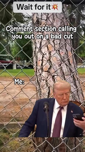 #Work #job #trees #trump #outdoors #life | C&B Tree Service