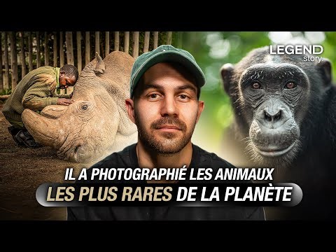 TRIBUS C*NNIBALES, CHIMPANZÉS, LIONS… IL PHOTOGRAPHIE DES MOMENTS ET DES ANIMAUX RARISSIMES