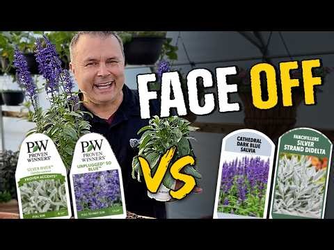 Proven Winners Face Off: Will They Perform Better than the Competition?