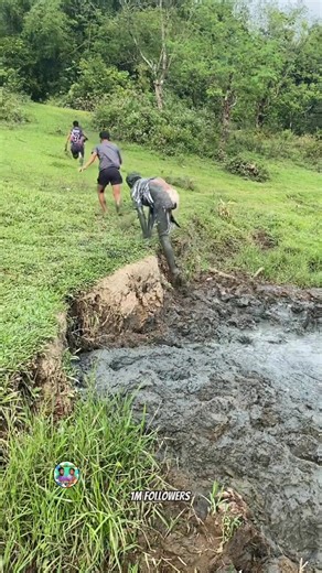 Push up challenge | Ka Dimple