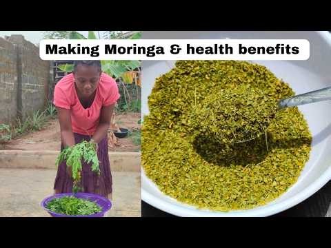 Slow Living | Making Moringa Powder at Home (Full Process + Benefits) | From Garden to Powder 🌿