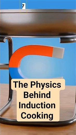 The Physics Behind Induction Cooking