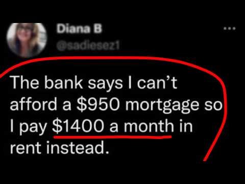 15 minutes and 47 seconds of memes