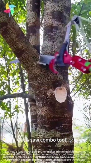 Reaching high branches easily! 🌳