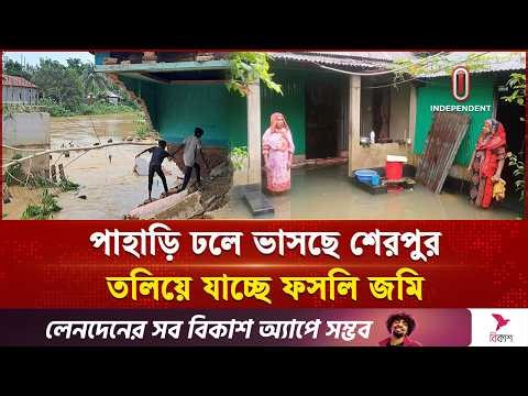 পাহাড়ি ঢলে শেরপুরের নদ-নদীর পানি বৃদ্ধি, বন্যা আতঙ্ক | Sherpur | Flood | Independent TV