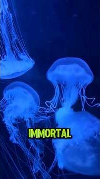 TOP 5 ANIMALS THAT CAN SURVIVE THE EXTREMES OF SPACE