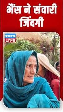 भैंस ने संवारी जिंदगी #womenentrepreneurs #microfinance #DWStories