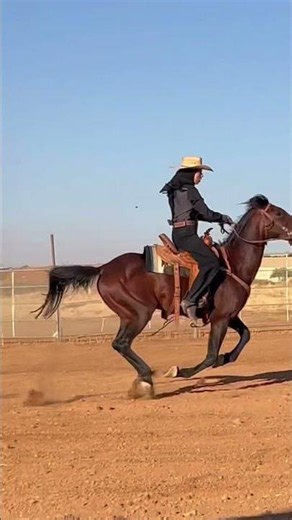 Fadwa Sabra puts a bow on the barrel racing Jackpot with 18.1 sec run in 20 sec arena!