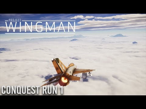 Project Wingman Conquest Run 1