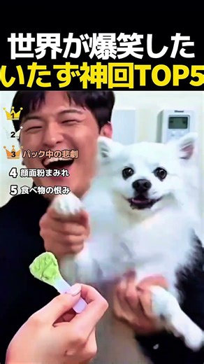 笑ったら負け世界の衝撃いたずら集 TOP 5