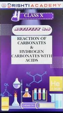 Activity 2.5 | Fizz, Bubbles & Chemistry Magic!