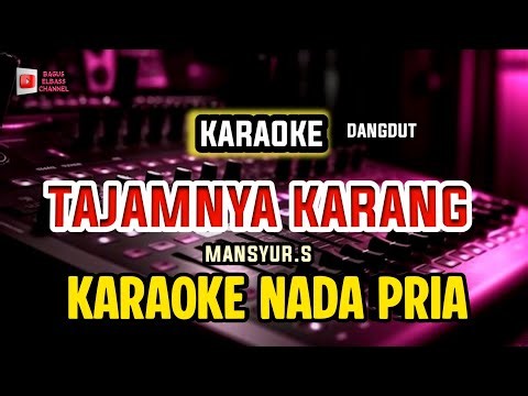 TAJAMNYA KARANG - KARAOKE || NADA PRIA COWOK || Dangdut koplo || mansyur s.