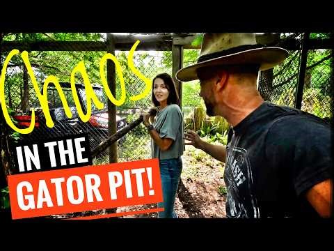 Kate Enters the Gator Habitat for First Time!