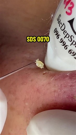 Relax | SDS 0070 | Relaxing Videos