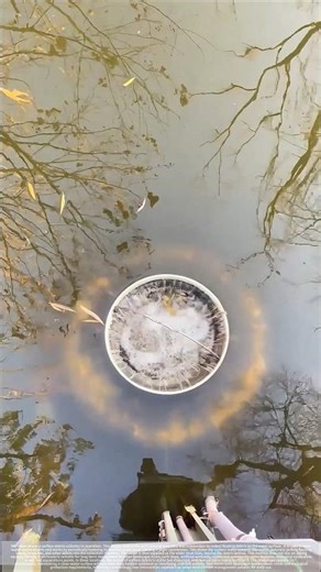 A water-level difference-powered, self-operating surface debris collector.