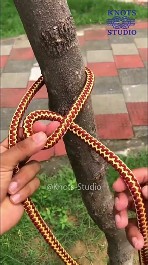 Knots of Adventure