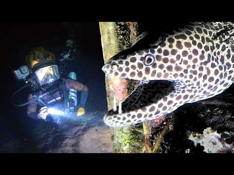 Unexplained Creatures Fishermen Discovered in the Open Ocean