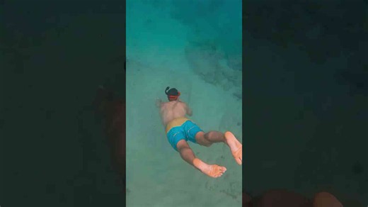 No fins, deep water and a shark cave - this was asking for trouble