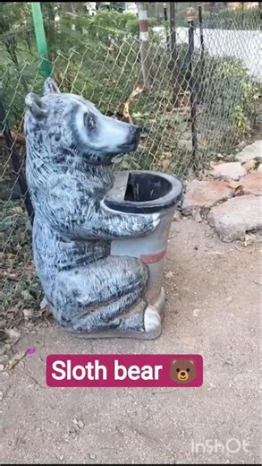 Baby Girl Watching Sloth Bear at Zoo 🐻 | Cute Baby Reaction