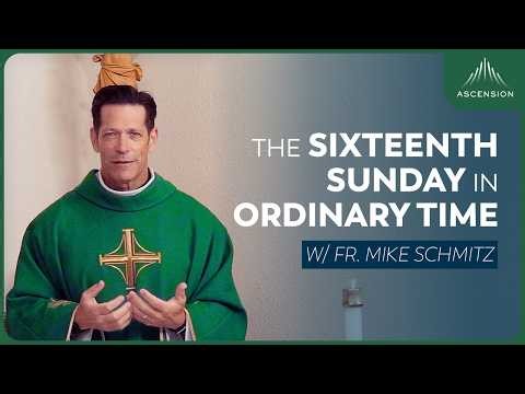 Sixteenth Sunday in Ordinary Time - Mass with Fr. Mike Schmitz
