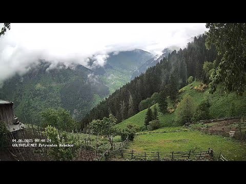 33 🔴 Petrandan Kabahor - Petran Meşeköy Canlı Yayın