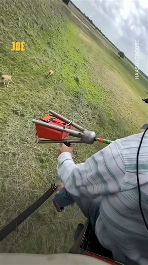 Like something from a video game 😂👏 | JOE.co.uk