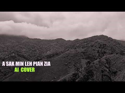 A sak min leh pian zia (AI Cover) || Male & Female