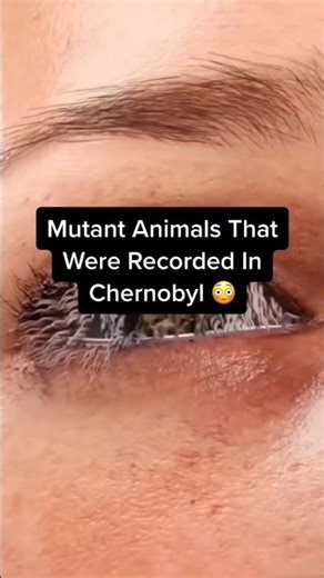 "Mutant" Animals in Chernobyl: What Was Really Found 🫪❗