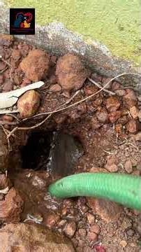 Since there is a high likelihood of snakes hiding beneath household drainage pipes, #snakecatch