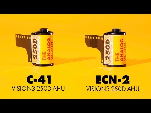 C-41 vs ECN-2 - new Kodak Vision3 250D AHU
