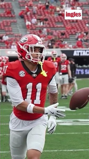 The perfect 10? DawgNation insider Mike Griffith points to a UGA TE as this year's breakout receiver