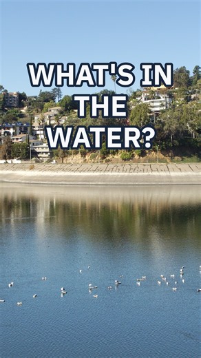 Why LA Put 96 Million Black Balls in Its Water